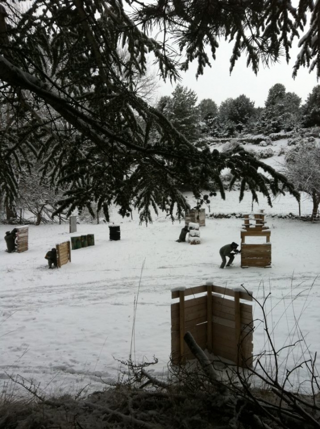 Gotcha sobre nieve